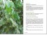 Buhner, Stephen Harrod: Pflanzliche Antibiotika