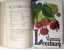 Ssserotts illustierter Kolonial-Kalender 1913