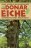 hammerbacher-die-donareiche-large.jpg