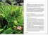 Buhner, Stephen Harrod: Pflanzliche Antibiotika