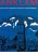 anklam-1991-large.jpg
