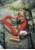reifepruefung_wildnis-82e97e0d-large.jpg