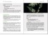Buhner, Stephen Harrod: Pflanzliche Antibiotika