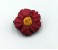 whw.anemonne-large.jpg