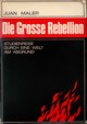 maler_juan_die_grosse_rebellion-small.jpg