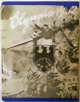 olympia-1932-1-small.jpg