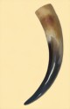 trinkhorn-03l-small.jpg