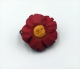 whw.anemonne-small.jpg