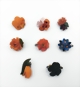 whw.fruehlingsblumen-small.jpg