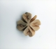 whw.kleeblattss-small.jpg